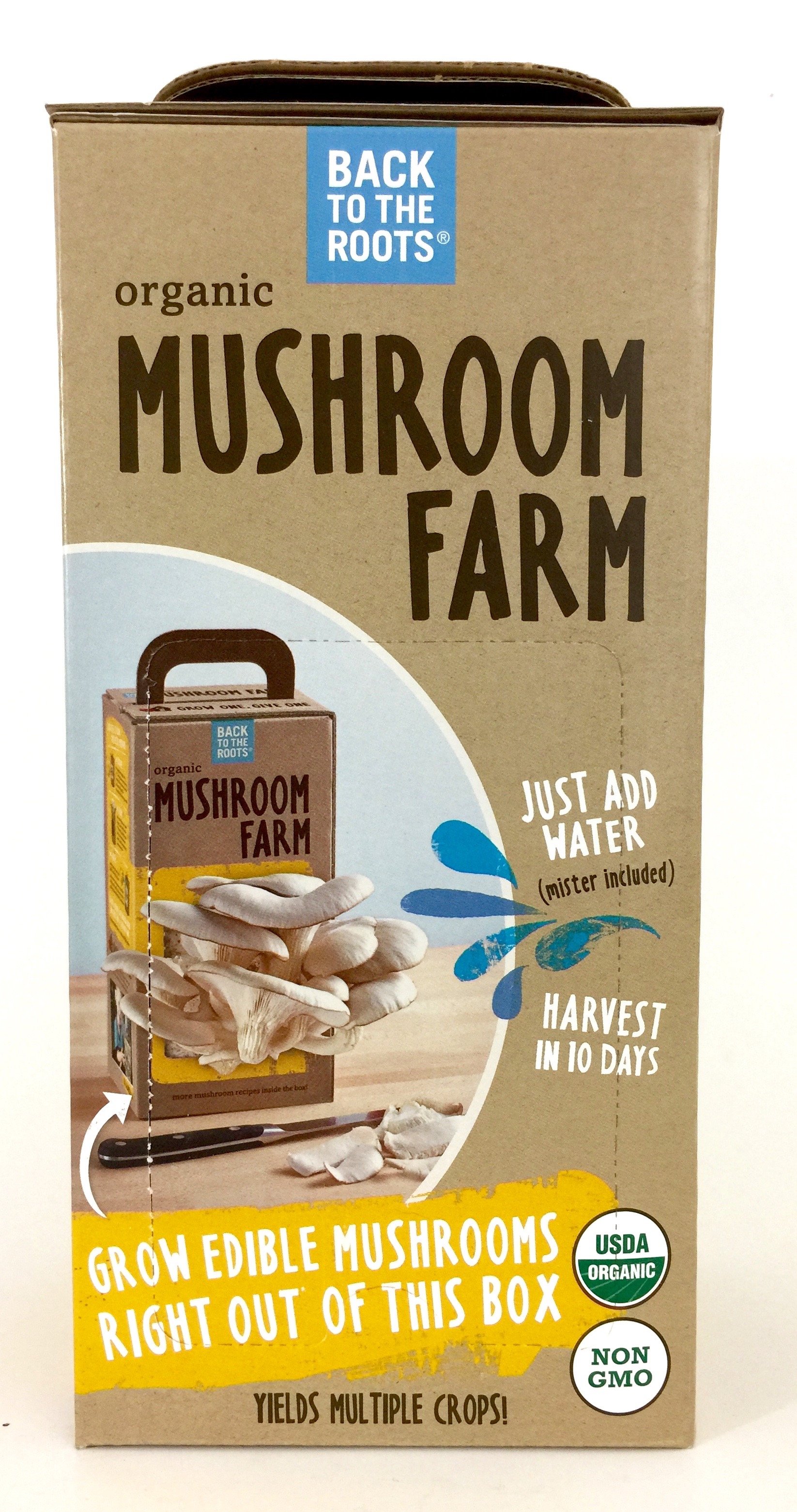 Back To The Roots Organic Mushroom Farm Kit Review The Homespun Chics