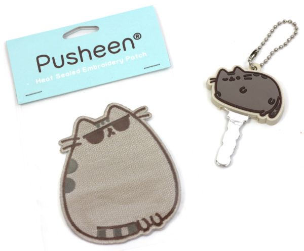 pusheen key