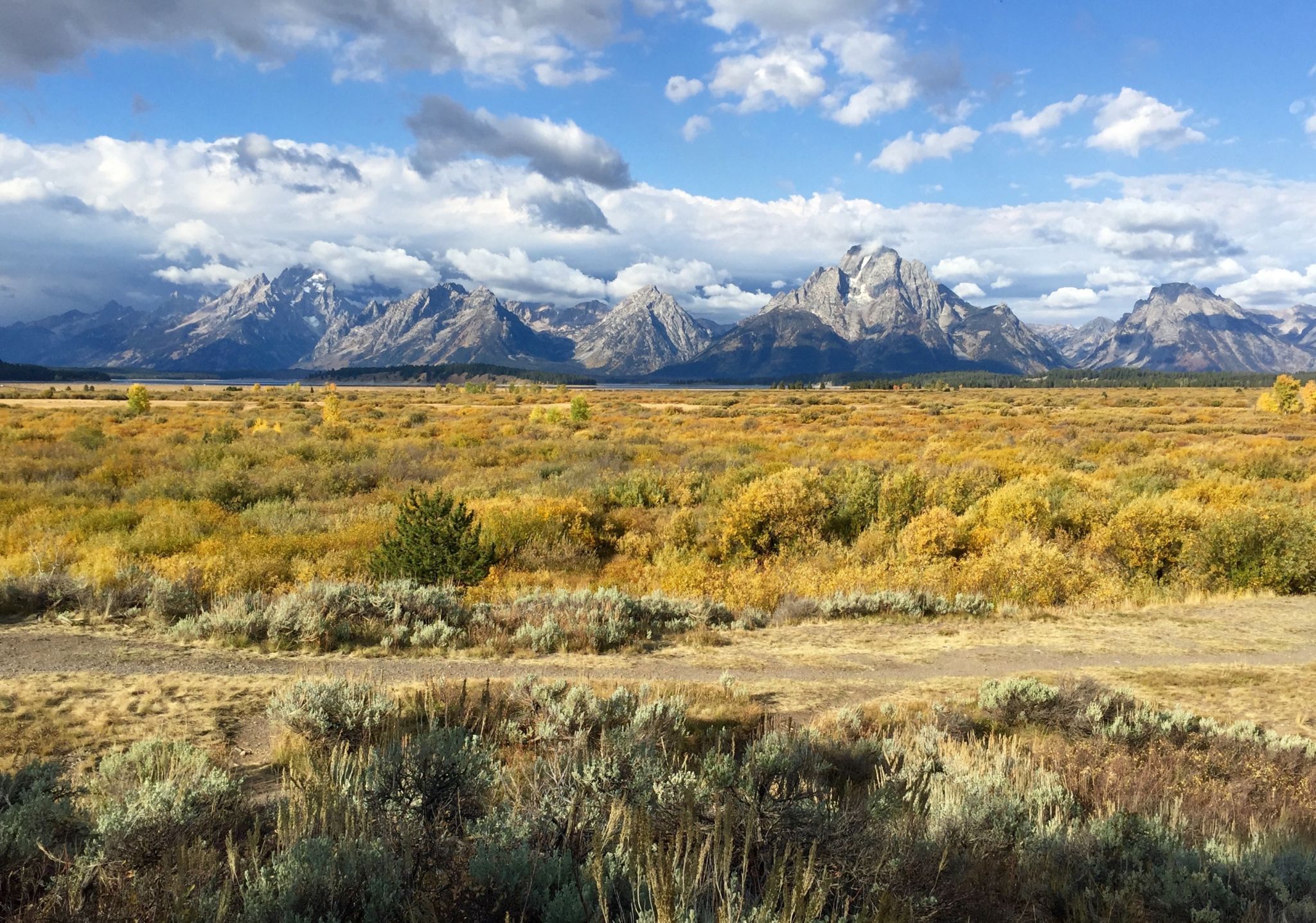 Autumn in Grand Teton National Park - The Homespun Chics