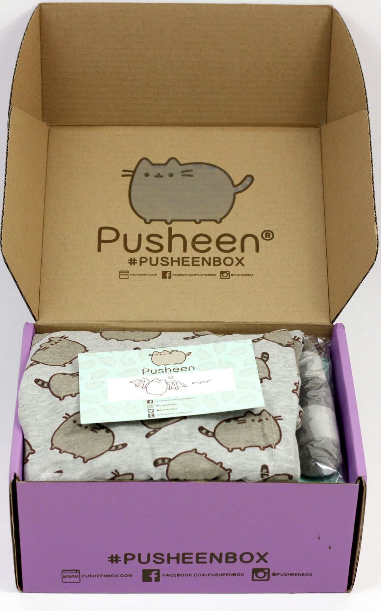 Pusheen Box Fall 2016 Subscription Box Review - The Homespun Chics