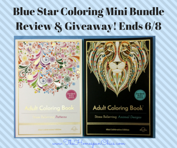 Blue Star Coloring Mini Bundle Review & Giveaway! The Homespun Chics