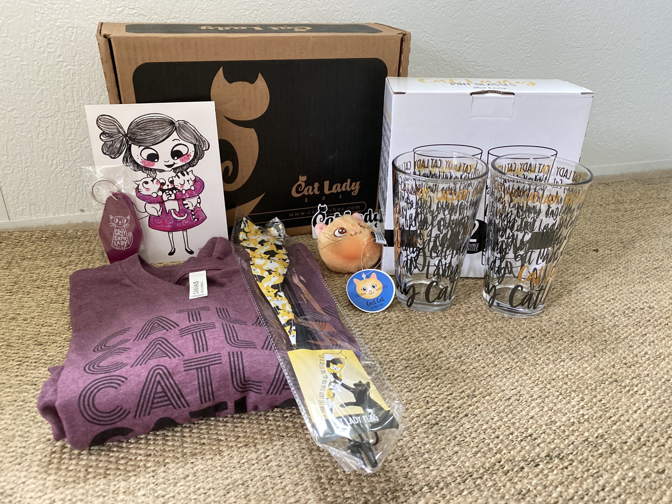 August Crazy Catladybox Review The Homespun Chics